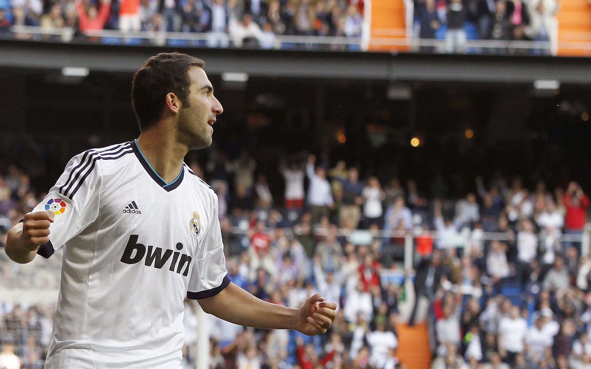 开云体育中国官方网站-突发！热火主帅斯波尔斯特拉住宅起火（无人受伤），埃里克·斯波尔斯特拉多高